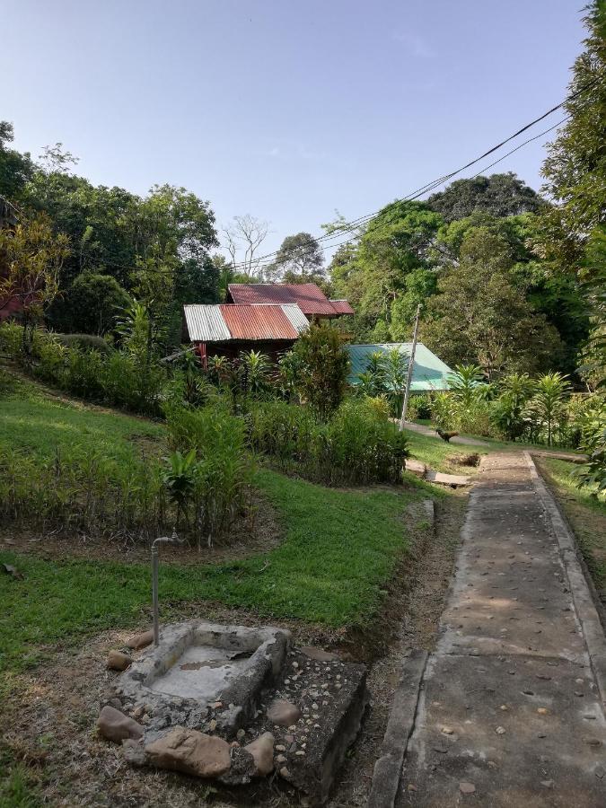Durian Chalet Kuala Tahan Exterior foto