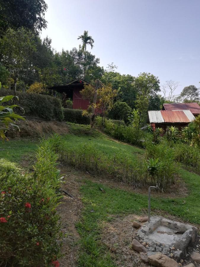 Durian Chalet Kuala Tahan Exterior foto