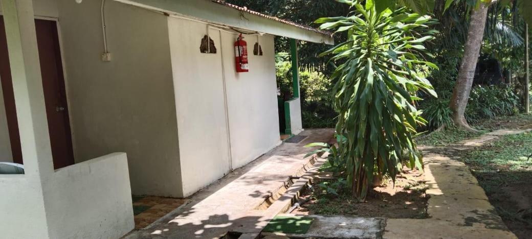 Durian Chalet Kuala Tahan Exterior foto